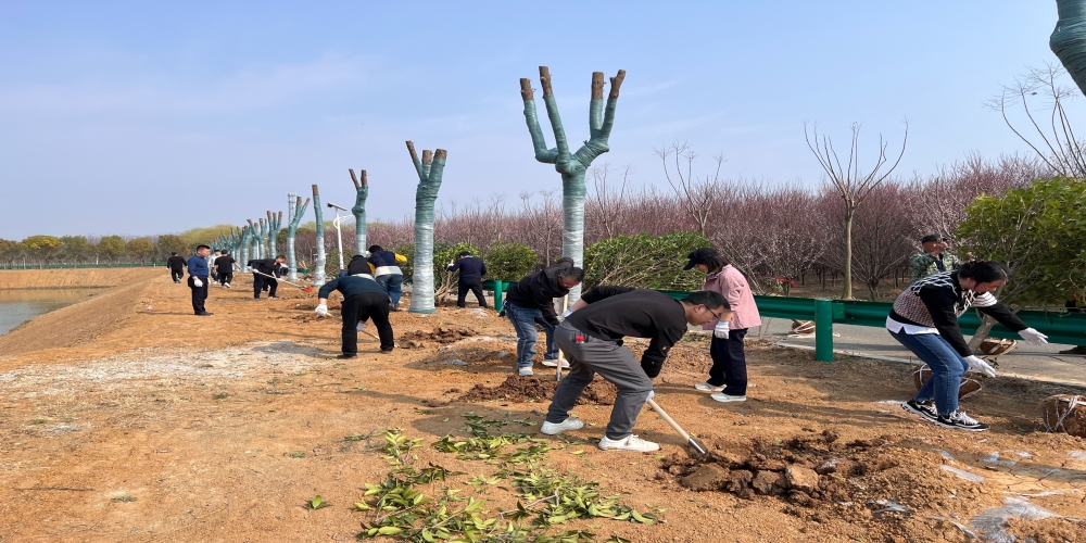 黨建引領(lǐng)共植綠 凝心聚力譜新篇 ——和合生態(tài)、德嘉置業(yè)黨支部赴小廟基地義務(wù)植樹(shù)